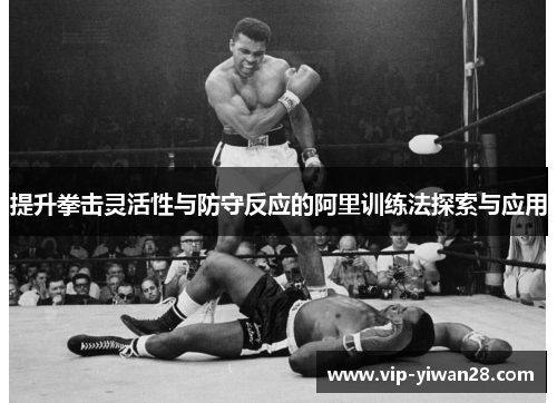 提升拳击灵活性与防守反应的阿里训练法探索与应用