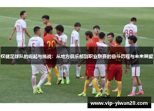 权健足球队的崛起与挑战：从地方俱乐部到职业联赛的奋斗历程与未来展望