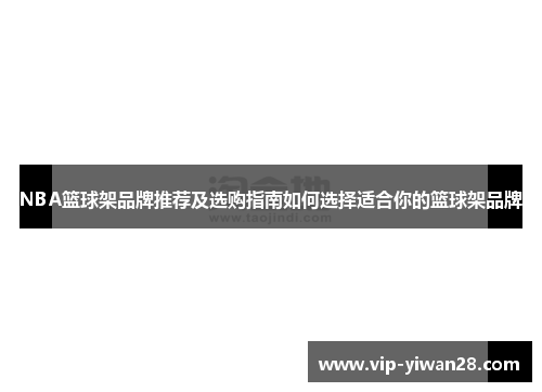 NBA篮球架品牌推荐及选购指南如何选择适合你的篮球架品牌