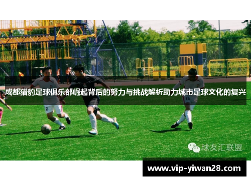 成都猎豹足球俱乐部崛起背后的努力与挑战解析助力城市足球文化的复兴