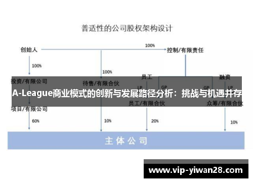 A-League商业模式的创新与发展路径分析：挑战与机遇并存