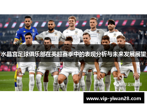 水晶宫足球俱乐部在英超赛季中的表现分析与未来发展展望