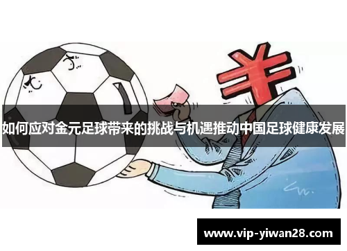 如何应对金元足球带来的挑战与机遇推动中国足球健康发展