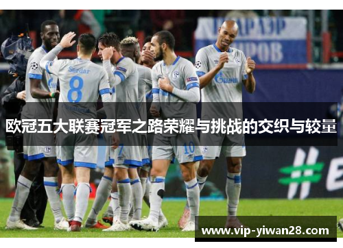 欧冠五大联赛冠军之路荣耀与挑战的交织与较量