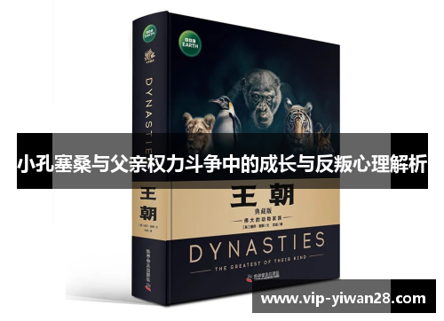 小孔塞桑与父亲权力斗争中的成长与反叛心理解析