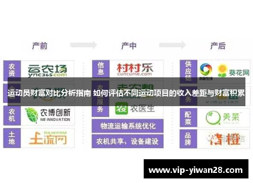 运动员财富对比分析指南 如何评估不同运动项目的收入差距与财富积累
