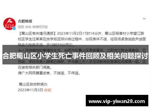 合肥蜀山区小学生死亡事件回顾及相关问题探讨